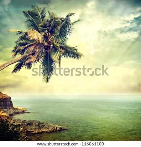 Vintage Palm Background