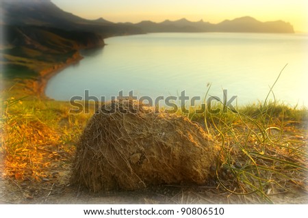 Beautiful seascape at sunset with grass in the foreground and mountains in the background