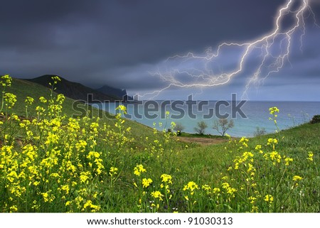 Marine storm landscape with flowers in the foreground