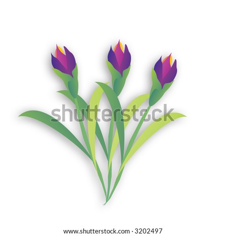 stock photo 3 lily flower stems with green leaves and a drop shadow