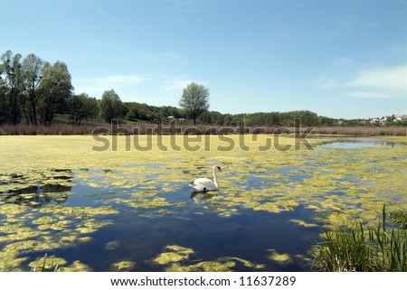 Abandoned Lake