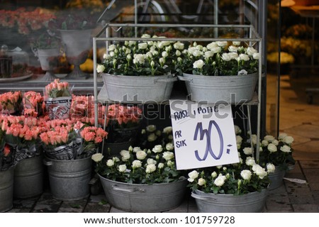 Mini Roses at an Outdoor Market