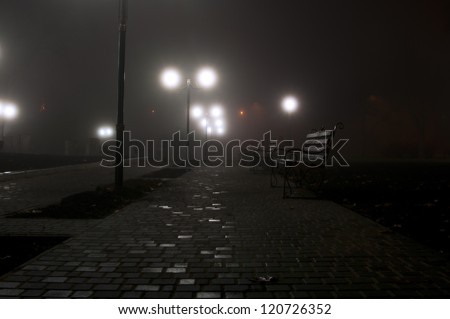 night park in the fog