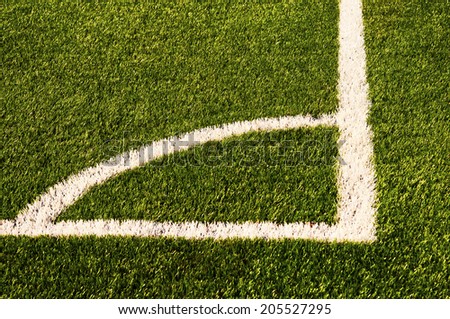 Grass on the football field. Texture of grass