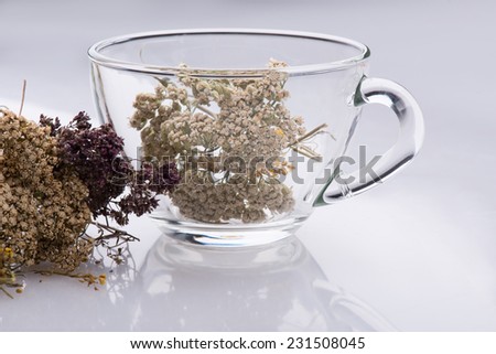 A glass cup with some herbs standing isolated on the white background. Concept of healthy life