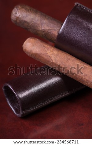 Wonderful Cuban cigar lying in the brown leather cigar case on the wooden table