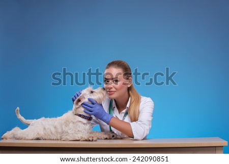 Each of my furry patients is special. A young beautiful female vet being affectionate with an equally affectionate canine licking her face against grey background