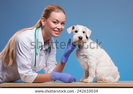 We take the best care of your pets. Portrait of a young beautiful vet patting a lovely dog and smiling at camera isolated on blue background