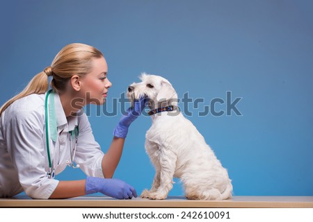 We take the best care of your pets. Portrait of a young beautiful vet patting a lovely dog isolated on blue background