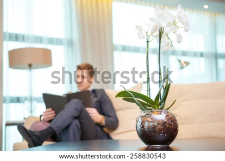 Working in hotel room. Selective focus image of confident young businessman in suit reading documents while sitting in hotel room with a beautiful flower in the foreground