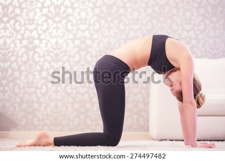 Do your stretches. Young woman diligently doing cat pose at white decorated home.