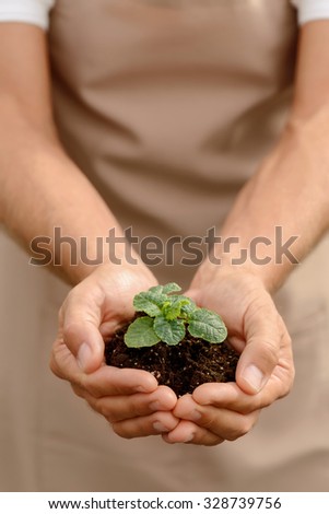 Fertile present. Close up of soil in hands of professional florist holding it while being involved in work