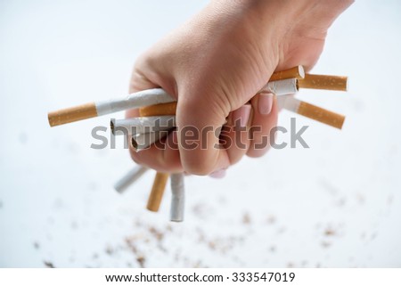 Do not smoke. Close up of bunch of cigarettes in hands of young girl holding it while standing on white background