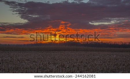 Colorful sunrise with corn field in the midwest in winter