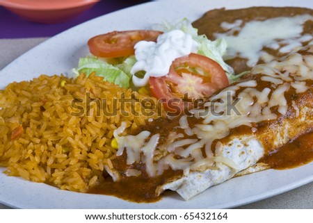 Healthy mexican meal,burrito and vegetables and rice and beans on plate