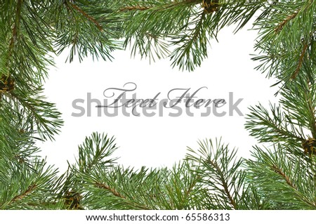 Pine branch christmas frame with copy space