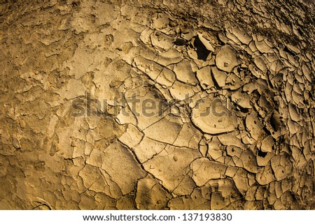 Dry land in the desert. National Park in Egypt. / Dry desert texture