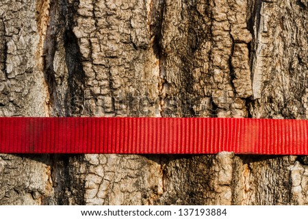 Wood texture marked with a red slack line. / Labeled Tree