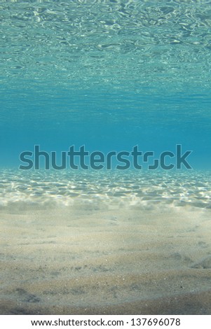 Egypt, Red Sea Shallow water ocean bed / Ocean Floor