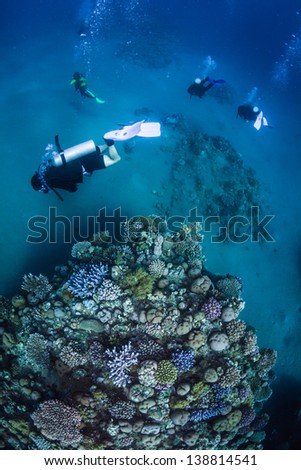 Four silhouettes of Scuba Divers swimming over the live coral reef full of fish and sea anemones.