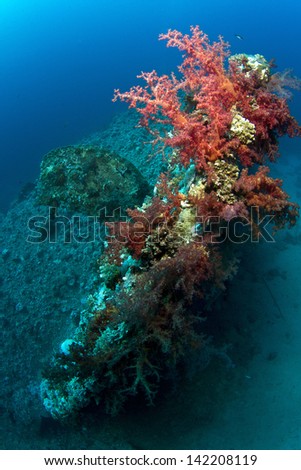 Wreck of Dunraven in Red Sea, South Sinai, Sharm El Sheikh area, Egypt in Ras Mohamed National Park.  Stern covered in soft coral with the propeller and rest of the wreck in the background.