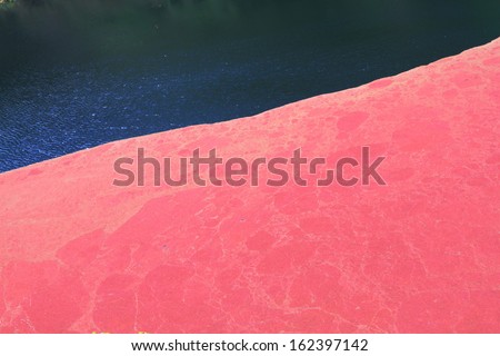Amazing red algae covering a lake water surface in Rotorua, New Zealand