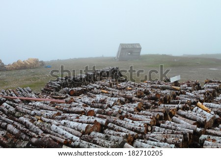 Pile of logs and lobster traps in front of deserted weathered cabin in Nordic landscape
