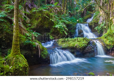 Beautiful waterfall in tropical rainforest in Hawaii