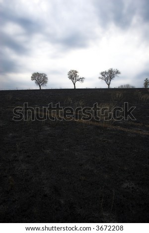 soot dirt grunge Burned landscape after prairie fire.