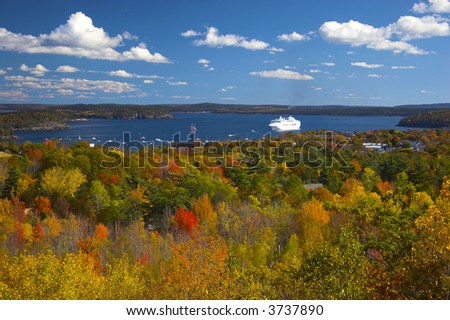 Fall foliage colors and details in Acadia National Park in Maine, New England, during their famous Autumn