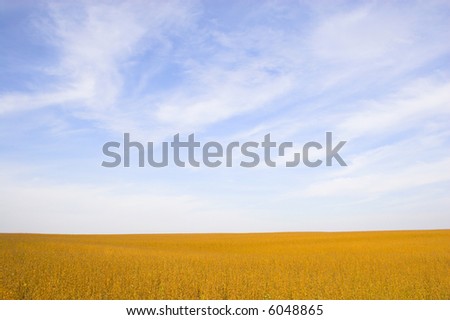 Farm landscapes with sunny maize soy and wheat fields