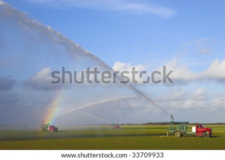 Irrigation machine waters crop on the field