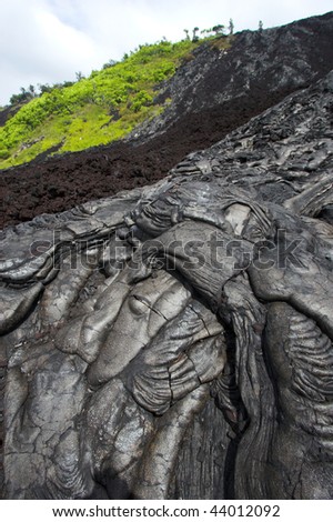 Close up of black lava and green fern in Hawaii Volcanoes National Park