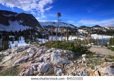 Tundra landscape in the Snowy Range Mountains of Wyoming