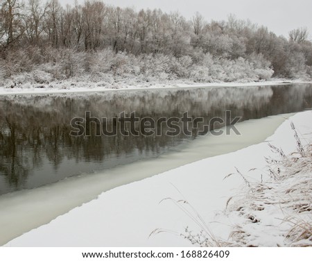 Trees covered with snow and running water in the river