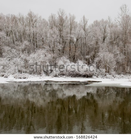 Trees covered with snow and running water in the river
