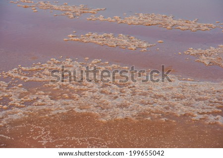 salt crystals formed in consequence of the evaporation of water from the lake for the extraction of marine sedimentary salt, summer season