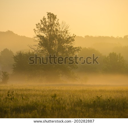 Foggy morning in a rural hilly area. Ukraine, Europe.