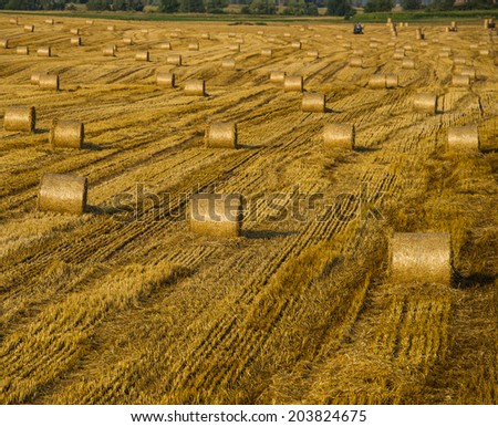 Gathering packed hay after harvesting wheat, summer. Ukraine, Europe.