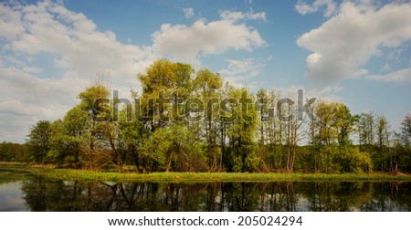 Forest landscape forest lake and clouds, spring season. Ukraine, Europe. Beauty world.