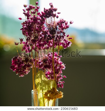bouquet of flowers in a vase in a room lit by natural light