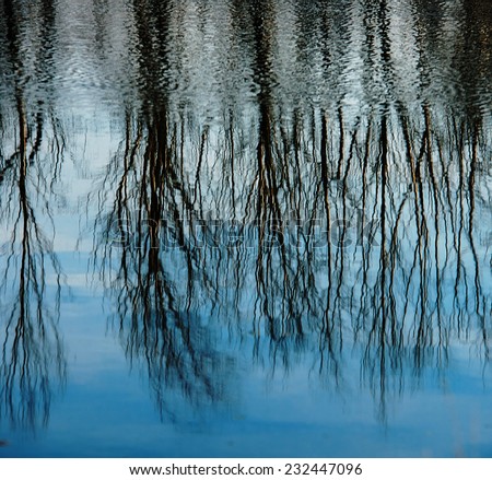 groups of trees reflected in the waters of the river, the fall season