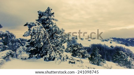landscape in a mountainous area in the winter season, panorama