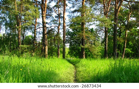 Spring Green Trees