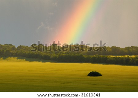 Spring bright contrast landscape with  field and  rainbow in  sky