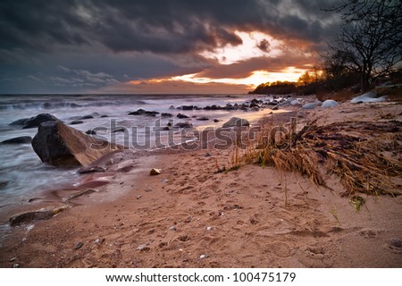 Beach In Sweden