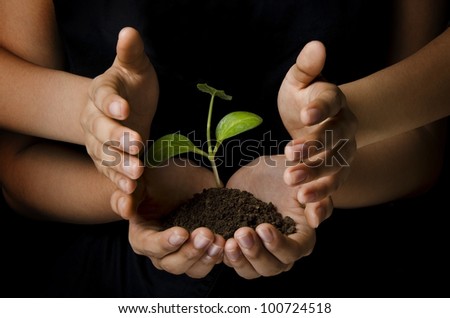 women hands protecting a young plant