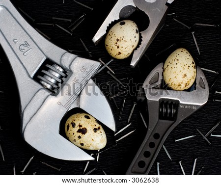 Small eggs gripped gently with industrial tools