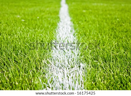 stock photo : soccer or football stripes on beautiful green grass