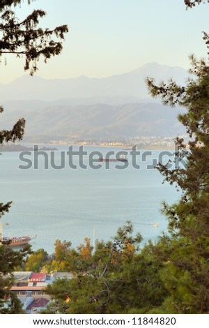 View on sea bay and far large ship through chink among trees